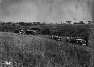 Südliches Afrika. Opellastwagen und PKWs unterwegs in der Savanne, 1931