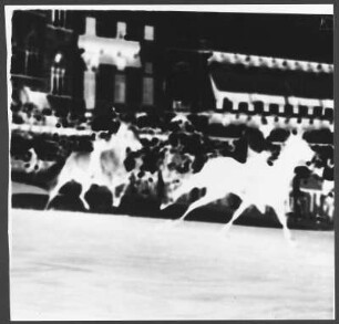 Pferderennen in der Arena in Siena