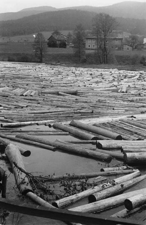 Holzflößung und Sägewerk : Holzflößung auf dem Fluß Weißer Regen mit einem Sägewerk im Hintergrund