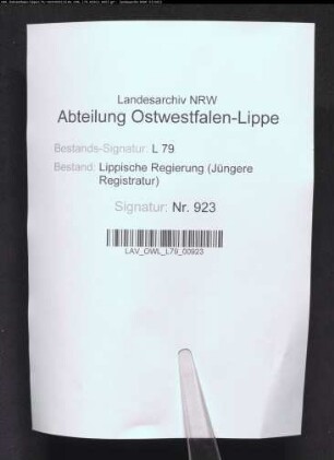 Sammlung von Statuten der Stadt Detmold