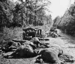 Pferdeleichen und zerstörte Pferdewagen auf einem Waldweg