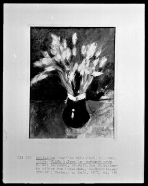 Wilde Tulpen im Dachauer Krug