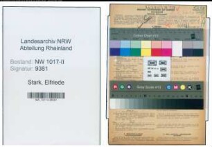 Entnazifizierung Elfriede Stark , geb. 19.01.1890 (Lehrerin)