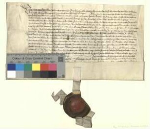 Johann, Markgraf von Brandenburg, belehnt Moritz Balkow [zu Kolpin] mit einem Freihof zu Storkow, der Schäferei, Holzungs-, Weide- und Fischereirechte.