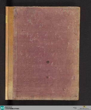 Regulae rite intellegendi et interpretandi sacras scripturas - Cod. Ettenheim-Münster 285