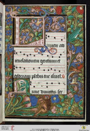 Lumen ad revelationem gentium; CAO 3465
