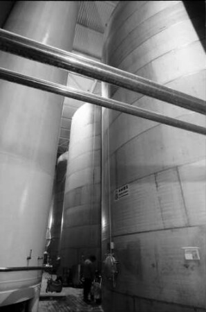 Breisach: Zentralkellerei; 120000 Liter-Tanks, von unten