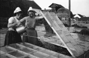Aradul Nou: Frühbeet, Glasgedeckt, noch näher, zwei Frauen grinsen