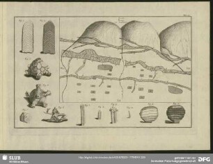 Tab. XII. Fig. 1 - Fig. 12