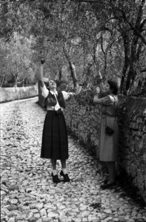 Malcesine: Gardasee, zwei Mädchen im Olivenhain