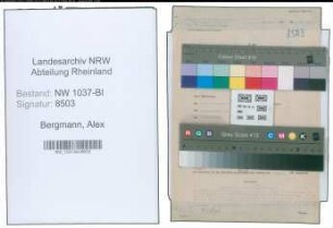 Entnazifizierung Alex Bergmann , geb. 02.02.1902 (Verwaltungsassistent)