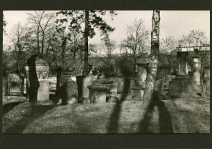 alter Friedhof
