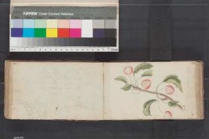 Eintrag S. 102 - 150