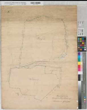 Küstelberg (Medebach) Glindfeld (Medebach) königlicher Privatwalddistrikt (Schutzbezirk Küstelberg und Glindfeld) Blatt 3 Jungholz, Winterkaste ca 1820-1830 ca 1 : 1250 73 x 54 Zeichnung KSA Nr. 584c