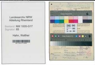 Entnazifizierung Walther Hahn , geb. 24.10.1910 (Disponent)