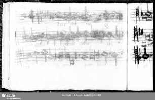 Stephan Mahu: Ecce Maria genuit