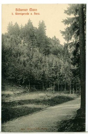 Wernigerode. Silberner Mann