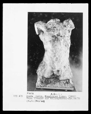 Männlicher Torso