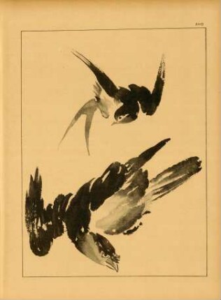 AHD [Études d'Oiseaux]