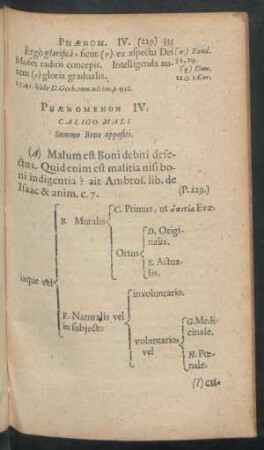 Phaenomenon IV.