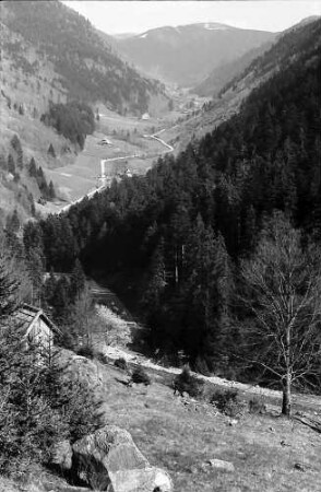 Wilhelmertal mit Fahrstraße und Feldberg aus dem Oberrieder Tal