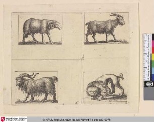 [Widder, Ziege, Ziegenbock und Löwe]