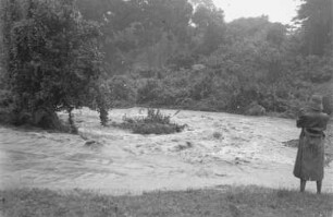 Angeschwollener Fluss : Ein Fluss ist durch Starkregen zu einem Strom angeschwollen und über die Ufer getreten.