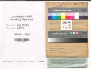 Entnazifizierung Hugo Roesler, geb. 20.04.1903 ()