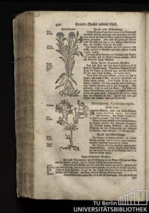 Cap. 232. Rittersporen, Consolida regalis.