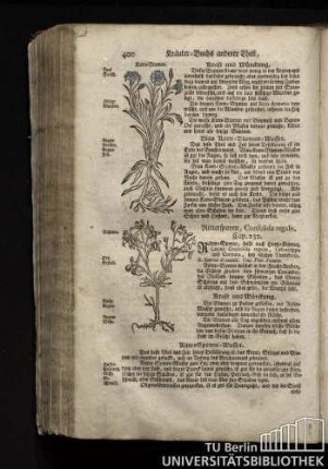 Cap. 232. Rittersporen, Consolida regalis.
