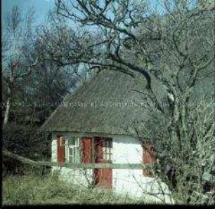 Reetdachhaus auf Hiddensee
