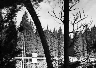 Schapbach: Glaswaldsee, Baumstämme und Spiegelung