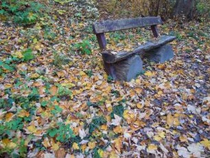 Herbsttag im Selketal : Das Tal des kleinen Flusses Selke im Unterharz ist ein beliebtes Wandergebiet. Aufgenommen an einem sonnigen Herbsttag, am 21. Oktober 2012, bei Alexisbad