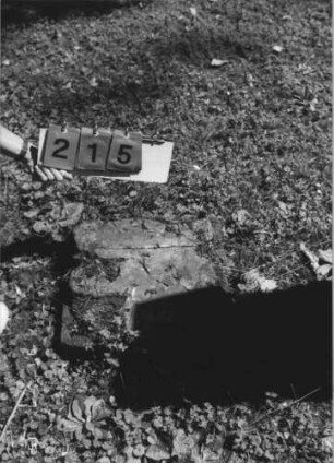 Grabstein 215