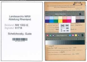 Entnazifizierung Guste Schelichovsky, geb. 21.05.1904 (Angestellte)