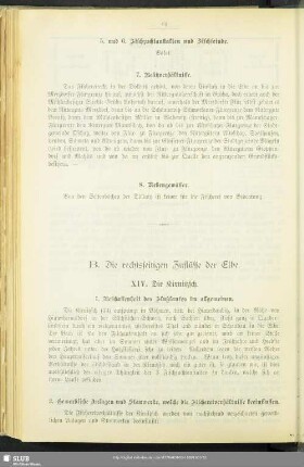 B. Die rechtsseitigen Zuflüsse der Elbe