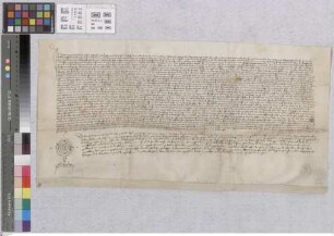 Neckarhausen: Kundschaft über die Rechte der Herren v. Hirschhorn zu Neckarhausen und Michelburg gegenüber Ansprüchen des Klosters ........ ? aufg...