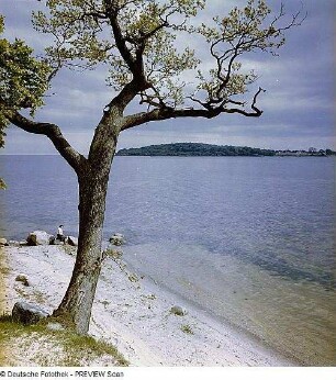 Blick zur Insel Vilm?