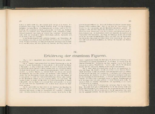 IV. Erklärung der einzelnen Figuren.
