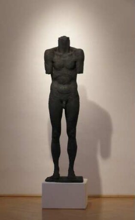 Torso CE