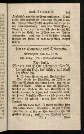 495-505, Am 17. Sonntage nach Trinitatis.
