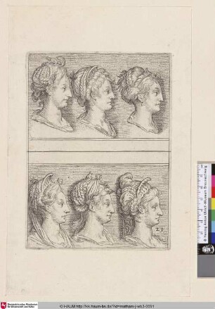 [Sechs weibliche Büsten im Profil mit diversen Frisuren; Six femaile bustes in profile with various head-dresses]