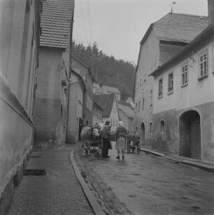 Ziegenrück. Ochsenkarren auf einer Straße
