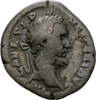 Denar des Septimius Severus mit Darstellung von Feldzeichen