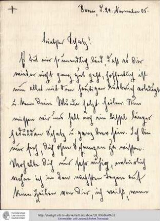 Brief vom 24.11.1905