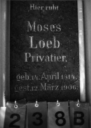 Grabstein 238 (Index: 100089711) Material: rötlicher Sandstein Maße HxBxT: 295x130x57 cm Besonderheit: Doppelgrab für Eheleute: Grabstein 238B
