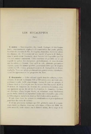 Les Eucalyptus.