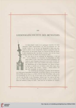 Die Leidensgeschichte des Münsters
