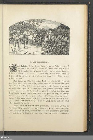 6. Im Bauerngarten