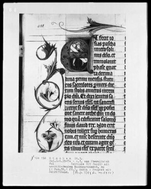Bibel (Regum - Iob) — Initiale E (t fecit), darin ein Prophet mit Schriftband